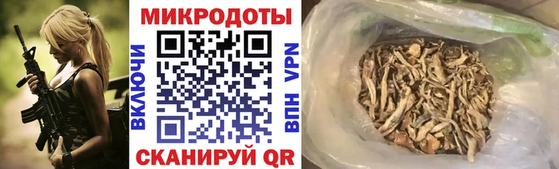 Псилоцибиновые грибы Cubensis  Козловка 