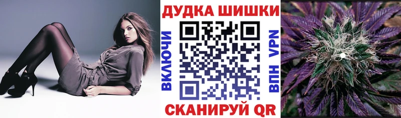 купить наркотик  mega маркетплейс  Бошки марихуана Amnesia  Козловка 
